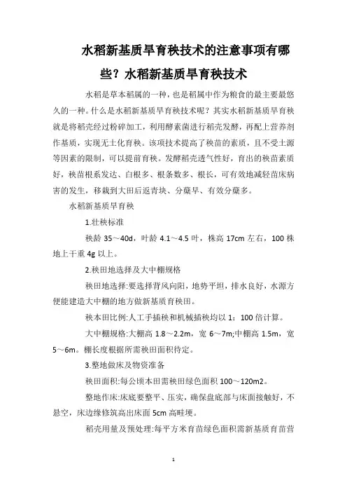 水稻新基质旱育秧技术的注意事项有哪些？水稻新基质旱育秧技术