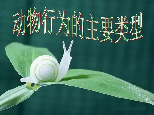 北师大版(初中二年级)八年级生物上册PPT课件：动物行为的主要类型_课件1