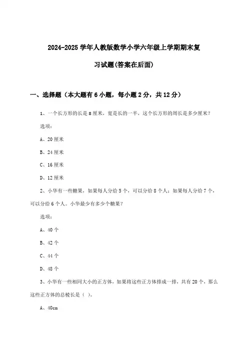2024-2025学年人教版小学六年级上学期期末数学试题与参考答案
