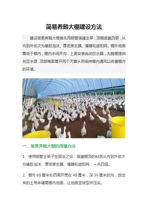 简易养鹅大棚建设方法