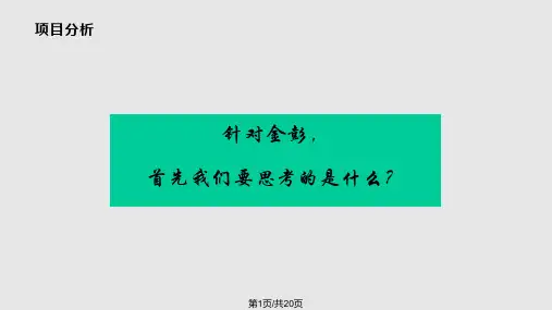 江苏金彭车业有限公司企业形象宣传方案金色驱动 制胜未来撰稿匡雪吉PPT课件