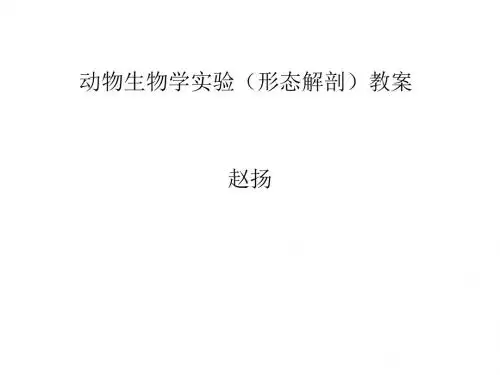 动物生物学实验形态解剖教案