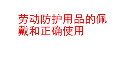 劳动防护用品的佩戴和正确使用ppt课件