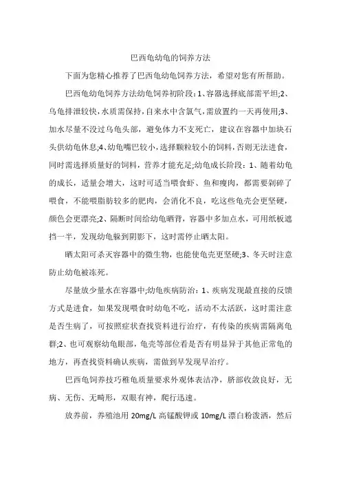 巴西龟幼龟的饲养方法