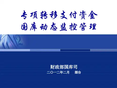 专项资金监控ppt课件