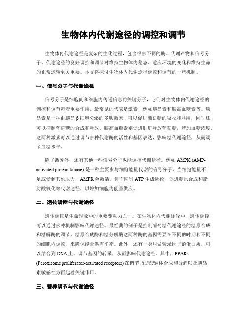 生物体内代谢途径的调控和调节