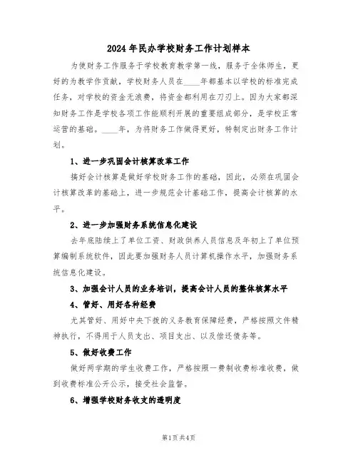 2024年民办学校财务工作计划样本（二篇）