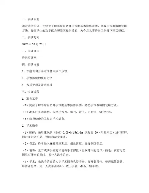 羊瘤胃切开实训报告