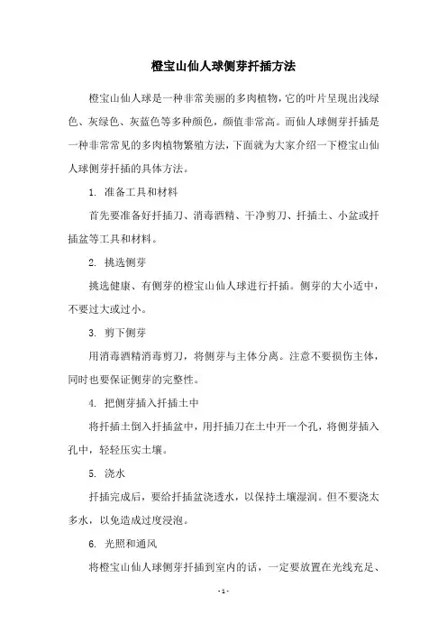 橙宝山仙人球侧芽扦插方法