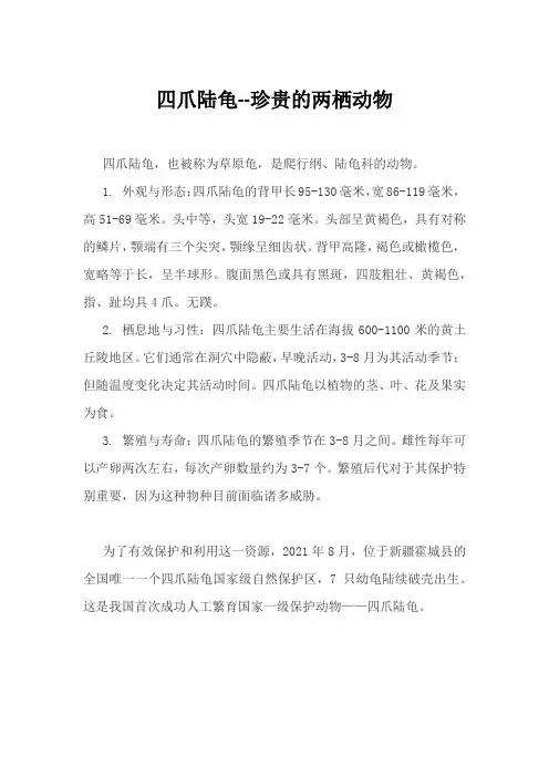 四爪陆龟--珍贵的两栖动物