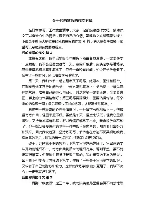 关于我的寒假的作文五篇