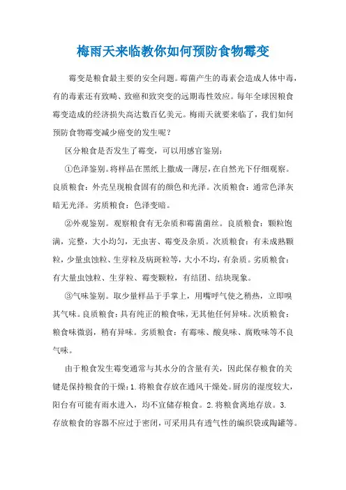 梅雨天来临教你如何预防食物霉变