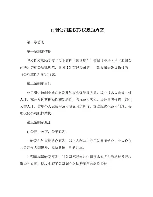 有限公司股权期权激励方案(模板)