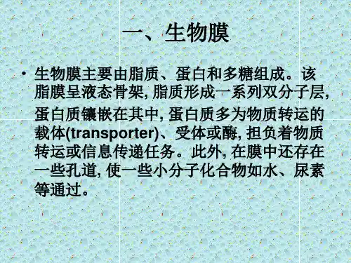 药物的跨膜转运_PPT幻灯片