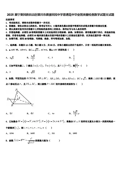 2025届宁夏回族自治区银川市唐徕回民中学普通高中毕业班质量检查数学试题文试题