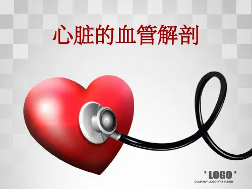 心脏的血管解剖ppt课件