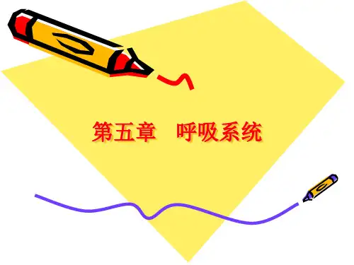 生理呼吸