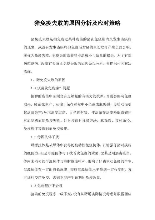 猪免疫失败原因分析及应对策略
