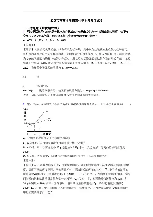 武汉市南湖中学初三化学中考复习试卷
