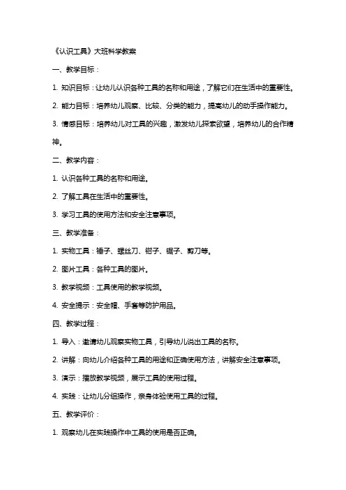 《认识工具》大班科学教案