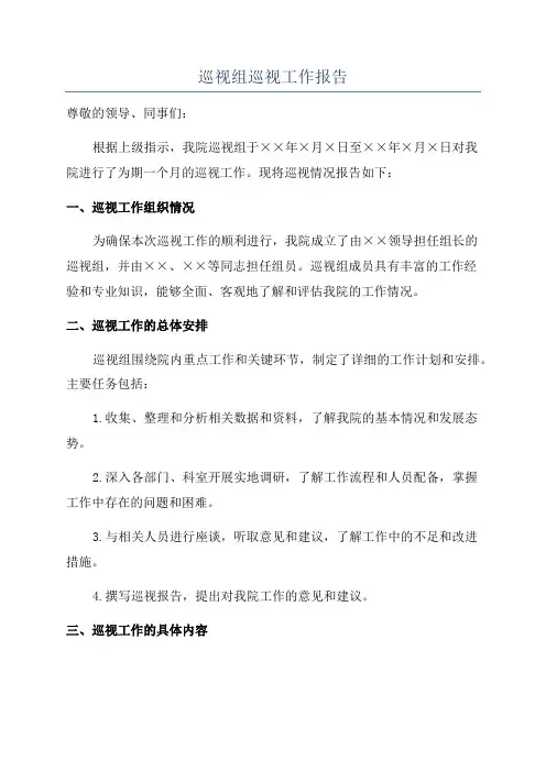 巡视组巡视工作报告