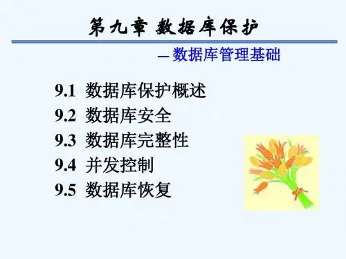 第9章_数据库保护