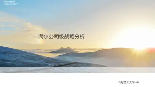 海尔公司级(多元化)战略