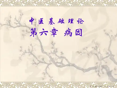 10-病因学说