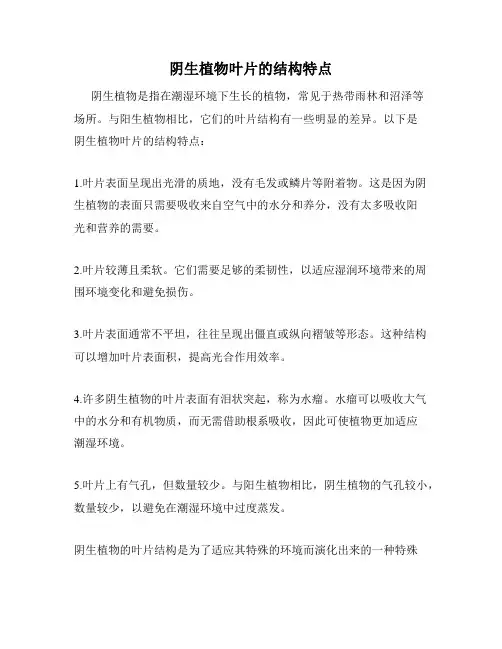 阴生植物叶片的结构特点