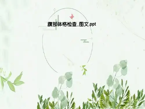 腹部体格检查_图文