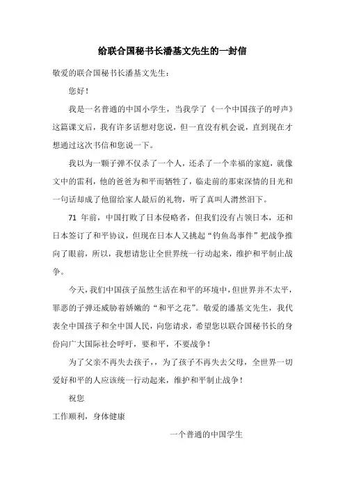给联合国秘书长潘基文先生的一封信(二)