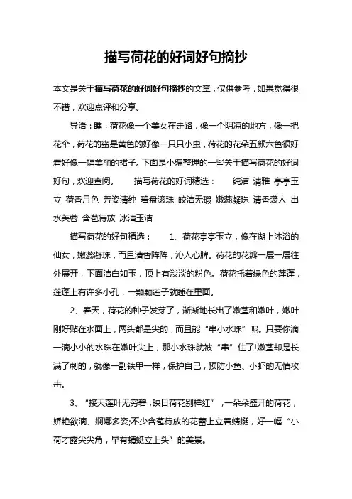 描写荷花的好词好句摘抄