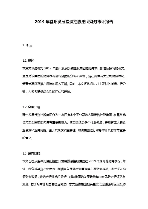 2019年赣州发展投资控股集团财务审计报告