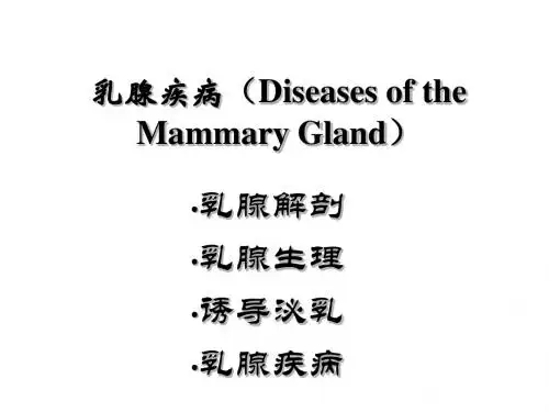 乳腺疾病基础知识培训PPT(34张)