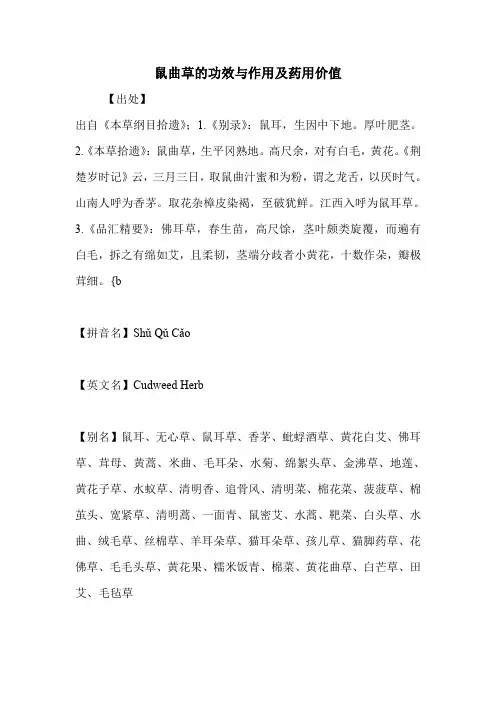 鼠曲草的功效与作用及药用价值