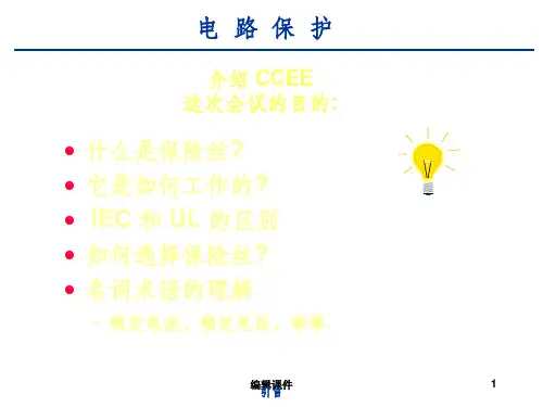 保险丝选型实例ppt课件