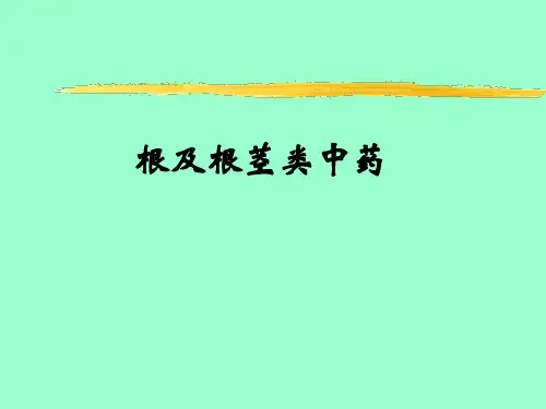 根及根茎类中药的鉴别要点与特征