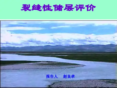 裂缝储层评价