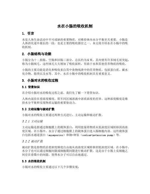 水在小肠的吸收机制