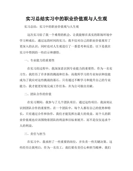 实习总结实习中的职业价值观与人生观