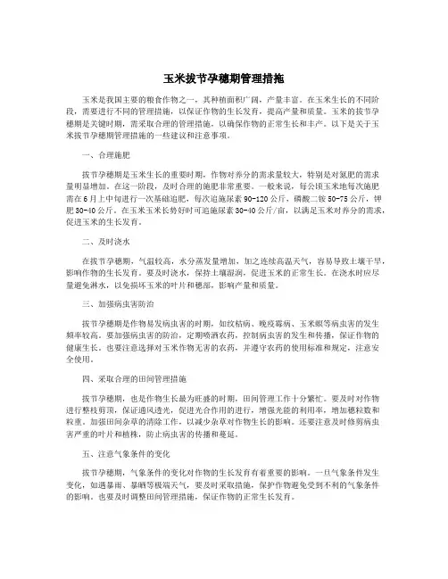 玉米拔节孕穗期管理措拖