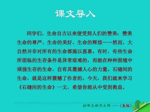 九年级语文下册 第一单元 第2课《石缝间的生命》课件 (新版)语文版