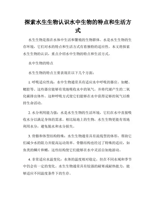 探索水生生物认识水中生物的特点和生活方式