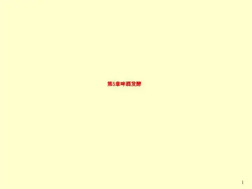 第5章啤酒发酵