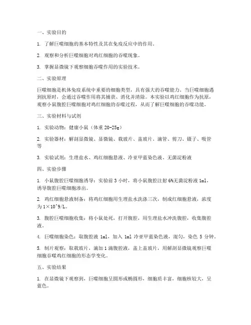 巨噬细胞吞噬实验报告