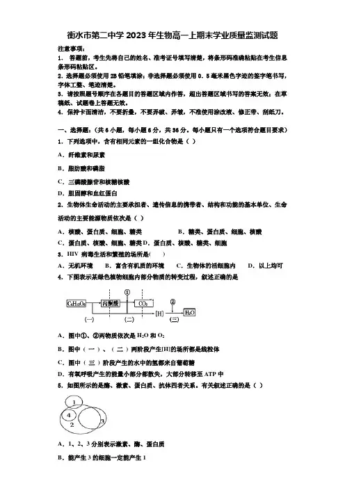 衡水市第二中学2023年生物高一上期末学业质量监测试题含解析