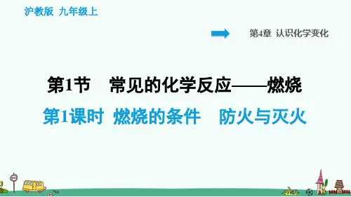 沪教版九年级化学上册第四章知识背记课件