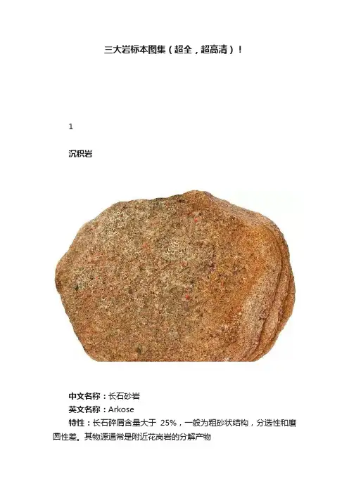 三大岩标本图集（超全，超高清）！