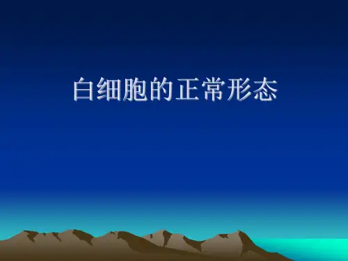 白细胞的正常形态