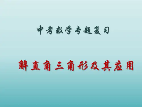 中考数学专题复习之 解直角三角形及其应用 课件